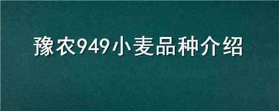 豫农949小麦品种介绍 豫农908小麦品种介绍