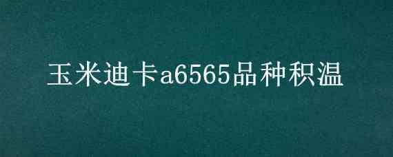 玉米迪卡a6565品种积温（迪卡a6565玉米种子积温多少）