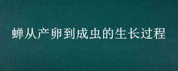 蟬從產(chǎn)卵到成蟲的生長(zhǎng)過程 蟬從產(chǎn)卵到成蟲的生長(zhǎng)過程概括