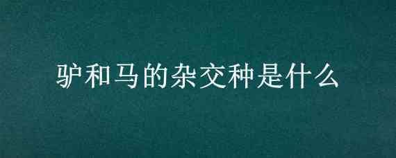 驴和马的杂交种是什么 马和驴杂交的后代