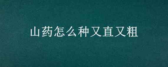 山藥怎么種又直又粗 山藥很粗好嗎