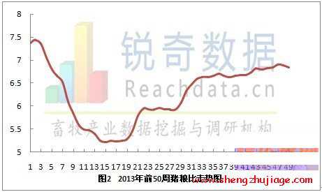 2013年第50周猪粮比继续上周小幅震荡回落