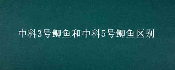 中科3號(hào)鯽魚和中科5號(hào)鯽魚區(qū)別（中科3號(hào)鯽魚和土鯽魚的區(qū)別）