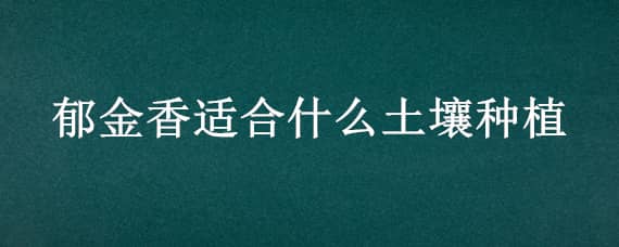 郁金香適合什么土壤種植 郁金香用什么土種植比較好