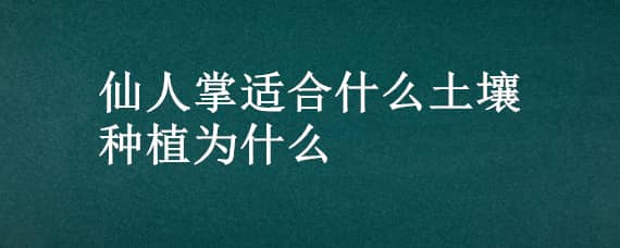 仙人掌適合什么土壤種植為什么 仙人掌適合的土壤