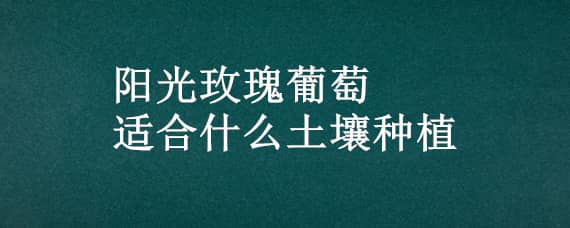 陽(yáng)光玫瑰葡萄適合什么土壤種植（陽(yáng)光玫瑰葡萄種植要求）