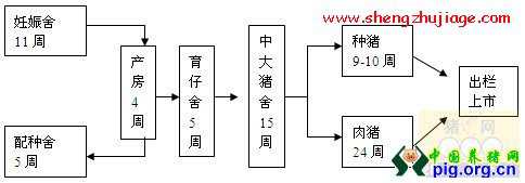 猪场生产工艺程序（猪场工艺流程图）