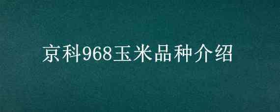 京科968玉米品種介紹 德農京科968玉米品種介紹