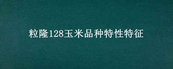 粒隆128玉米品種特性特征（粒隆128玉米品種特性特征天育918的田間表現(xiàn)）