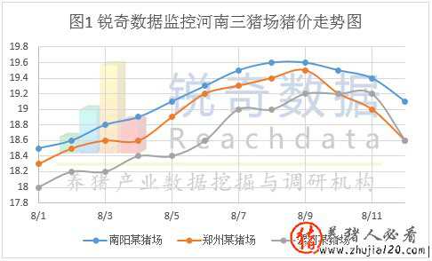 河南猪场猪价连续3天大地震 今日河南省猪价预测