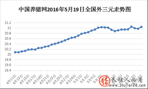 猪价高位调整（猪价呈现跌涨调整）