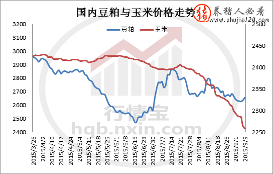 新旧玉米价格接轨（全国新玉米收购价格）