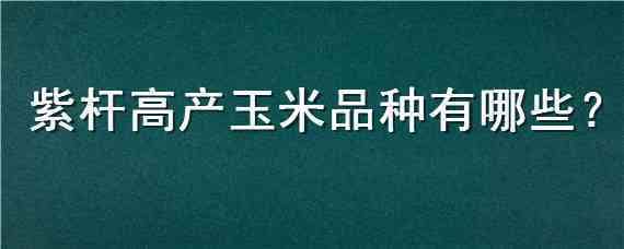 紫桿高產(chǎn)玉米品種有哪些 紫桿紫葉的玉米品種有哪些