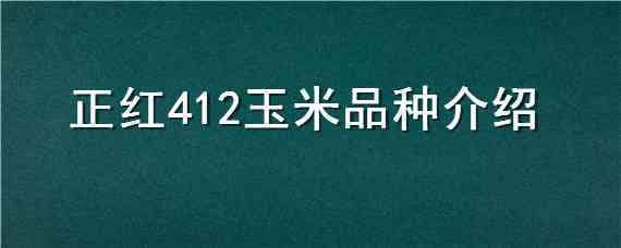 正红412玉米品种介绍（正红431玉米种简介）