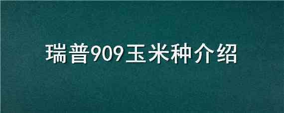 瑞普909玉米种介绍 瑞普908玉米品种简介