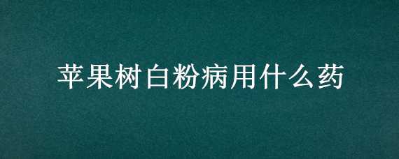 苹果树白粉病用什么药 苹果树白粉病是什么原因造成的