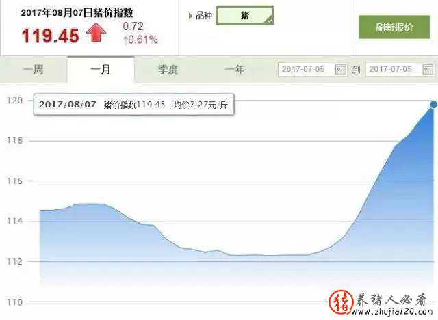 “豬”都飛了，方向還沒(méi)有找到！ 豬跑出去了怎么找回來(lái)