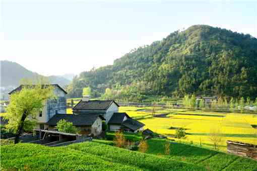 現(xiàn)在農(nóng)村創(chuàng)業(yè)做什么好 現(xiàn)在農(nóng)村自己創(chuàng)業(yè)做什么好