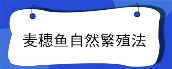 麦穗鱼自然繁殖法（麦穗鱼的繁殖技术）