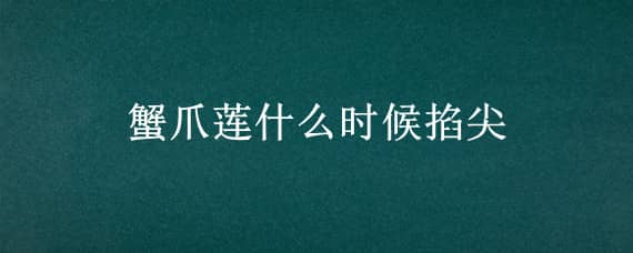 蟹爪莲什么时候掐尖（蟹爪莲十月份可以掐新牙子吗）