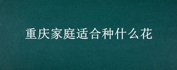 重慶家庭適合種什么花（重慶家庭適合種什么花卉）