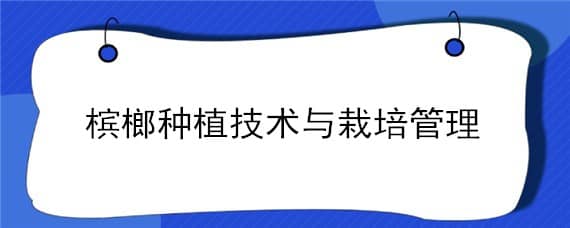 槟榔种植技术与栽培管理 槟榔的种植技术与管理