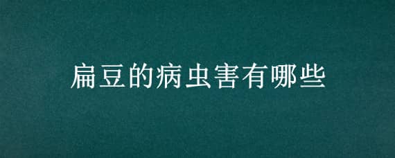 扁豆的病蟲害有哪些（扁豆的病蟲害有哪些防治）