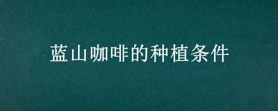 藍(lán)山咖啡的種植條件（藍(lán)山咖啡種植的最佳月份）