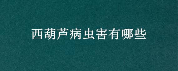 西葫芦病虫害有哪些（西葫芦病虫害有哪些危害）