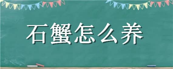 石蟹怎么養(yǎng) 石蟹怎么養(yǎng)殖方法