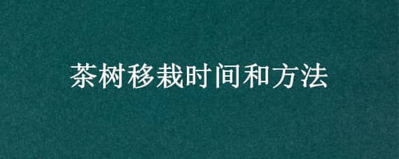 茶树移栽时间和方法（茶树移栽时间和方法图片）