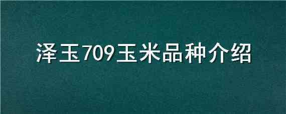 泽玉709玉米品种介绍（天泽709玉米种子简介）