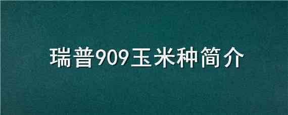 瑞普909玉米种简介（瑞普909玉米品种介绍图片）