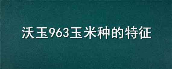 沃玉963玉米種的特征（沃玉963玉米品種）