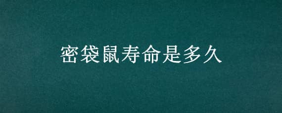 密袋鼠寿命是多久 密袋鼠能活几年