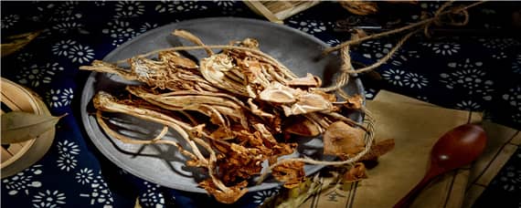 桑黃菌種植技術(shù)（桑黃菌種植技術(shù)資料）