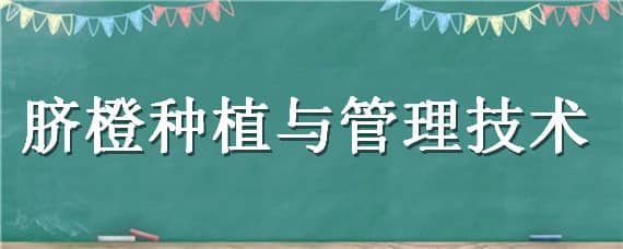 脐橙种植与管理技术 脐橙种植与管理技术书