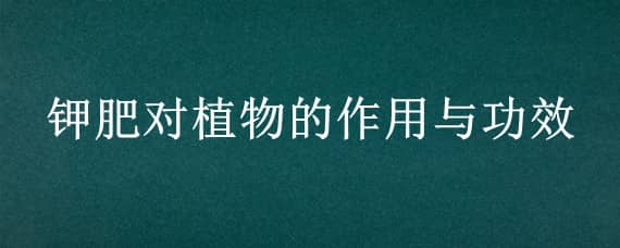 鉀肥對植物的作用與功效 鉀肥植物的作用是什么