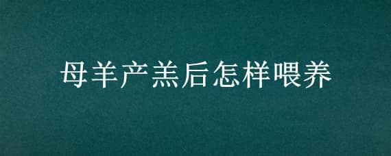 母羊产羔后怎样喂养（母羊产后怎么喂养）