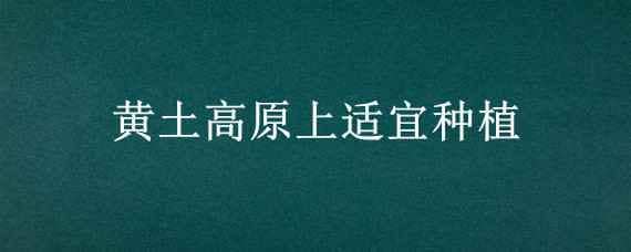 黄土高原上适宜种植 黄土高原上适宜种植什么