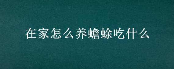 在家怎么養(yǎng)蟾蜍吃什么（家養(yǎng)蟾蜍吃什么食物）