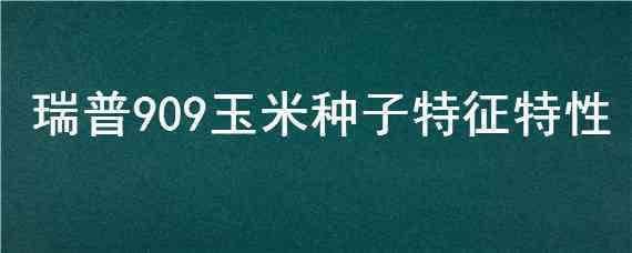 瑞普909玉米种子特征特性（瑞普909玉米品种介绍）