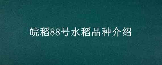 皖稻88号水稻品种介绍 皖稻187号特性