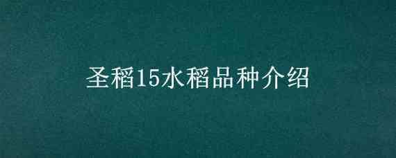 圣稻15水稻品种介绍（龙稻15水稻品种简介）