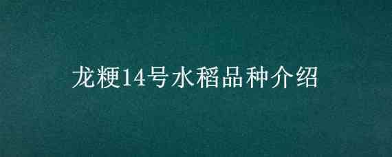 龙粳14号水稻品种介绍 龙粳43水稻品种简介