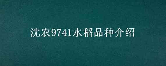 沈农9741水稻品种介绍 沈阳水稻品种