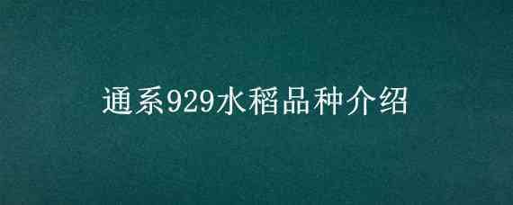 通系929水稻品种介绍 通系933水稻品种