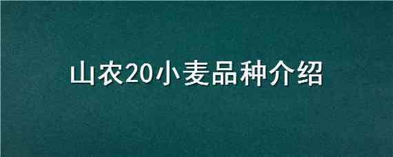 山农20小麦品种介绍（山农30小麦品种简介）