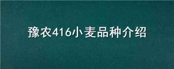 豫农416小麦品种介绍 豫农416小麦品种介绍图片