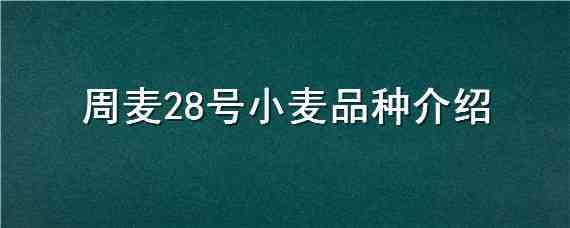 周麦28号小麦品种介绍（周27小麦品种）